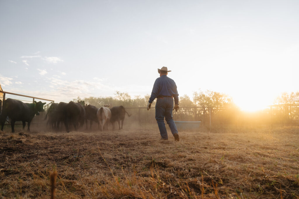 nofence userstory shoot1 texas 2025 55