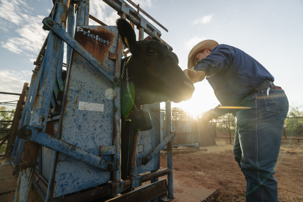 nofence userstory shoot1 texas 2025 77